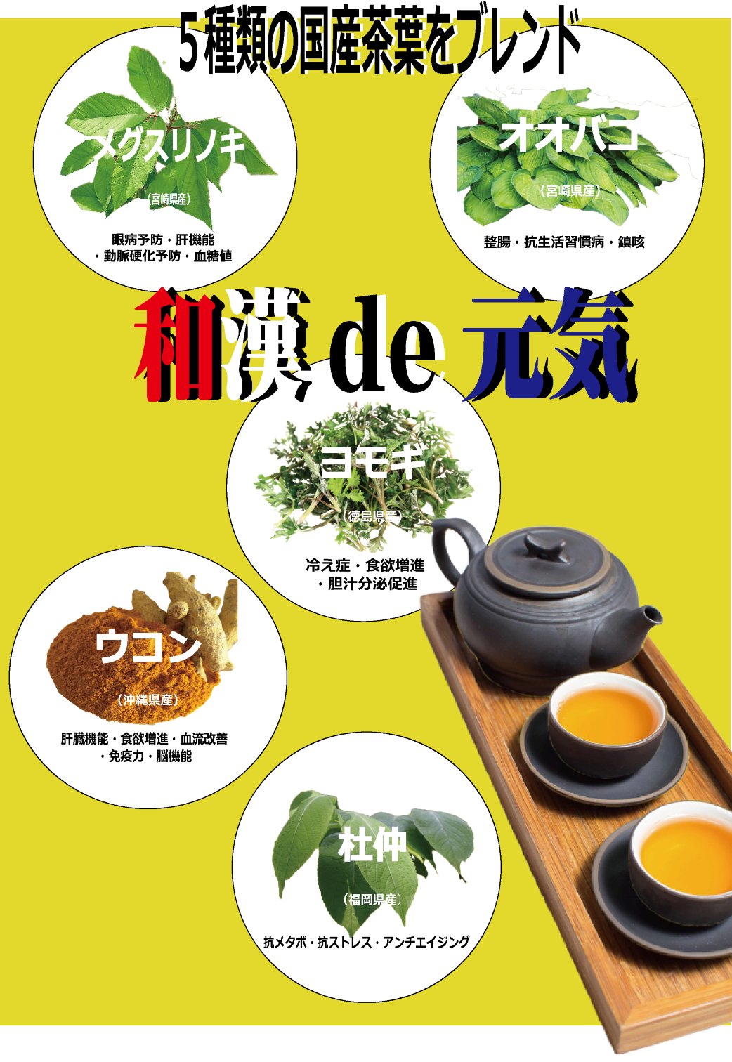 和漢健康茶パンフレット